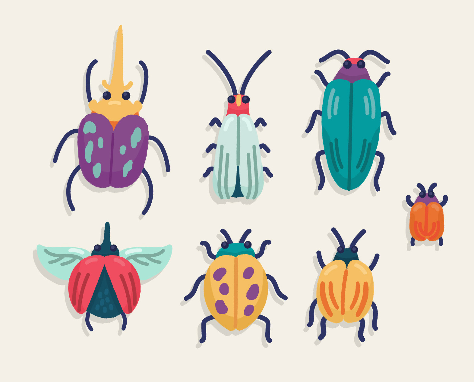 beetle