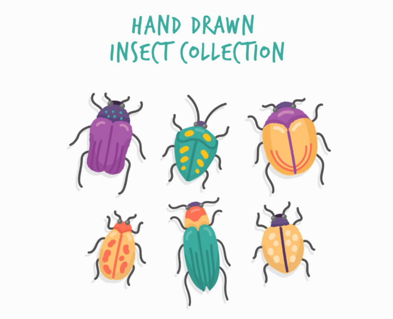 are beetles good or bad how to tell helpful, harmful, and harmless beetles apart